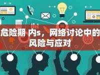 危險期 內(nèi)s，網(wǎng)絡(luò)討論中的風險與應(yīng)對