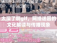 太深了啊gif，網(wǎng)絡(luò)迷因的文化解讀與傳播現(xiàn)象