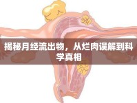 揭秘月經流出物，從爛肉誤解到科學真相
