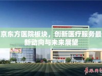 京東方醫(yī)院板塊，創(chuàng)新醫(yī)療服務最新動向與未來展望
