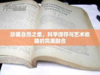 珍藏自然之柔，科學(xué)保存與藝術(shù)收藏的完美融合