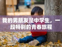 我的男朋友是中學(xué)生，一段特別的青春旅程