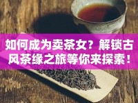 如何成為賣茶女？解鎖古風(fēng)茶緣之旅等你來(lái)探索！