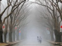 倩女幽魂手游卡頓怎么辦？?jī)?yōu)化配置打造流暢游戲體驗(yàn)！
