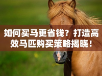 如何買馬更省錢？打造高效馬匹購買策略揭曉！