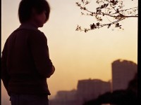 神武手游如何手動升級？這些策略與技巧助你飛速提升！