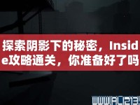 探索陰影下的秘密，Inside攻略通關(guān)，你準備好了嗎？