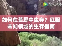 如何在荒野中生存？征服未知領(lǐng)域的生存指南