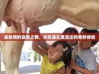 鼻息間的自然之舞，水在鼻孔里流出的奇妙體驗