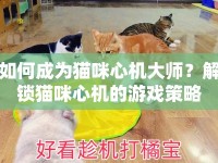 如何成為貓咪心機(jī)大師？解鎖貓咪心機(jī)的游戲策略