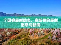 寧國鎮(zhèn)最新動(dòng)態(tài)，宣城鎮(zhèn)的最新消息與新聞