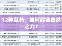 12種草藥，如何解鎖自然之力？