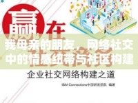 我母親的朋友，網(wǎng)絡(luò)社交中的情感紐帶與社區(qū)構(gòu)建