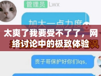 太爽了我要受不了了，網(wǎng)絡(luò)討論中的極致體驗(yàn)