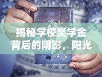 揭秘學(xué)校獎(jiǎng)學(xué)金背后的陰影，陽光下的不為人知之謎