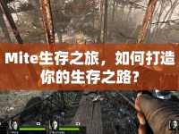 Mite生存之旅，如何打造你的生存之路？