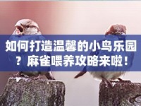 如何打造溫馨的小鳥(niǎo)樂(lè)園？麻雀喂養(yǎng)攻略來(lái)啦！