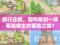 旅行企鵝，如何規(guī)劃一場萌趣橫生的冒險之旅？