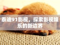 泰迪91影視，探索影視娛樂的新邊界