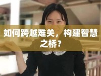 如何跨越難關(guān)，構(gòu)建智慧之橋？