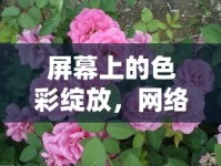 屏幕上的色彩綻放，網(wǎng)絡女主播洋桔梗的獨特魅力