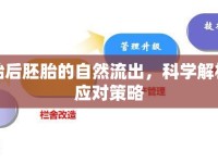 停胎后胚胎的自然流出，科學(xué)解析與應(yīng)對(duì)策略