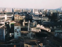 夢(mèng)幻手游中的靈紋雕染色藝術(shù)是如何實(shí)現(xiàn)的？