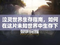 泣靈世界生存指南，如何在這片未知世界中生存下去？