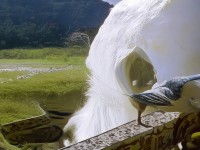 人體之美如何通過光影交織的藝術(shù)呈現(xiàn)？