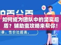 如何成為團(tuán)隊(duì)中的堅(jiān)實(shí)后盾？輔助蠻攻略來幫你！