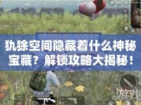 犰狳空間隱藏著什么神秘寶藏？解鎖攻略大揭秘！