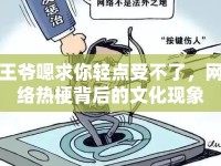 王爺嗯求你輕點受不了，網(wǎng)絡(luò)熱梗背后的文化現(xiàn)象