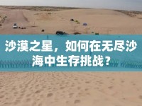 沙漠之星，如何在無盡沙海中生存挑戰(zhàn)？