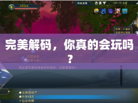 完美解碼，你真的會玩嗎？