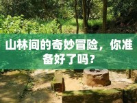 山林間的奇妙冒險(xiǎn)，你準(zhǔn)備好了嗎？