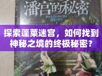 探索蓬萊迷宮，如何找到神秘之境的終極秘密？