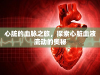 心臟的血脈之旅，探索心臟血液流動的奧秘