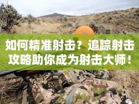 如何精準(zhǔn)射擊？追蹤射擊攻略助你成為射擊大師！