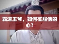 霸道王爺，如何征服他的心？
