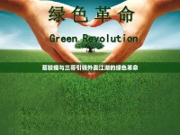 葛較瘦與三哥引領(lǐng)外賣江湖的綠色革命