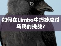如何在Limbo中巧妙應(yīng)對烏鴉的挑戰(zhàn)？