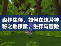 森林生存，如何在這片神秘之地探索、生存與冒險？
