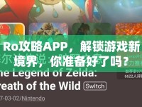Ro攻略APP，解鎖游戲新境界，你準(zhǔn)備好了嗎？