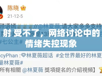 射 受不了，網(wǎng)絡(luò)討論中的情緒失控現(xiàn)象