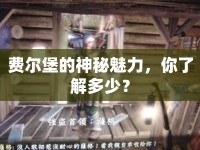 費爾堡的神秘魅力，你了解多少？