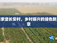 周家堡長安村，鄉(xiāng)村振興的綠色新篇章