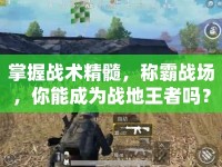 掌握戰(zhàn)術(shù)精髓，稱霸戰(zhàn)場，你能成為戰(zhàn)地王者嗎？