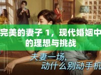 完美的妻子 1，現(xiàn)代婚姻中的理想與挑戰(zhàn)