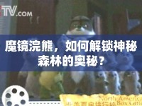 魔鏡浣熊，如何解鎖神秘森林的奧秘？