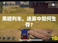 黑暗列車，迷霧中如何生存？